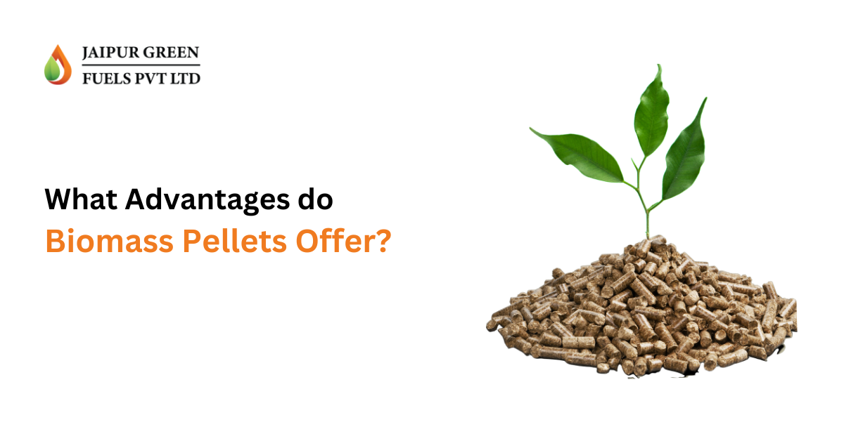 What Advantages Do Biomass Pellets Offer?