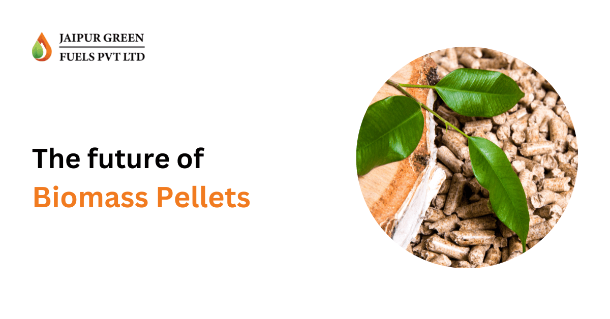 The future of biomass pellets