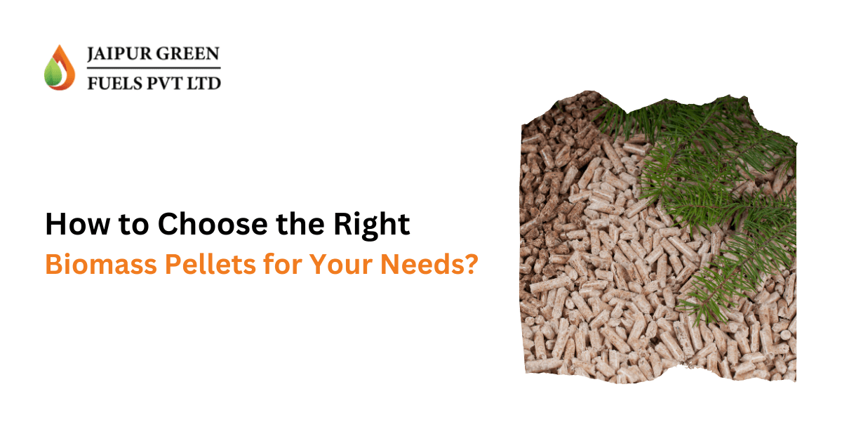 How to choose the right biomass pellets for your needs?