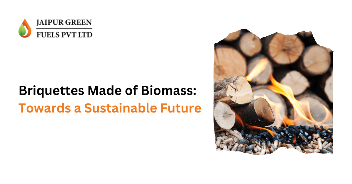 Briquettes Made of Biomass: Towards a Sustainable Future